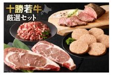 牛肉サミット2012優勝！ 十勝若牛 厳選セット！ ハンバーグ に ローストビーフ！さらに ステーキ まで！牛肉 好きにはたまらない！_S003-0015