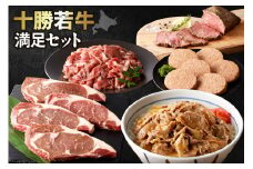 牛肉サミット2012優勝！十勝若牛 満足セット！ハンバーグ に ローストビーフ！さらに ステーキ 、湯煎で簡単牛丼の具まで！牛肉 好きにはたまらない！_S003-0016