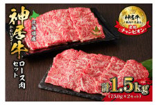 佐藤さんちの神居牛ロース肉セット 750g×2_S013-0010