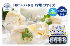 【2回定期便】十勝アルプス牧場 牧場のアイス 合計20個_S020-0003