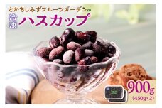【2025年発送先行予約！】とかちしみずフルーツガーデンの冷凍ハスカップ900g 北海道産 ハスカップ 産地直送 果物 フルーツ 冷凍 ハスカップ 冷凍フルーツ 北海道_S009-0005