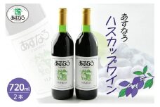 あすなろハスカップワイン 720ml×2本セット_S005-0013