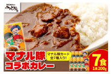 とんかつのみしな マナル隊コラボカレー_S011-0006