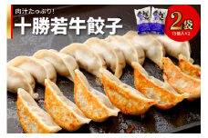 十勝若牛100％使用！十勝若牛餃子 15個入り×2袋_S003-0002