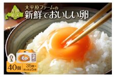 大平原ファームの新鮮でおいしい卵 40個_S035-0001