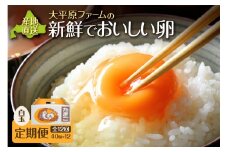 【12回定期便】大平原ファームの新鮮でおいしい卵 計40個(白卵)×12ヶ月_S035-0005