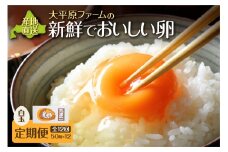 【12回定期便】大平原ファームの新鮮でおいしい卵 計50個(白卵)×12ヶ月_S035-0022