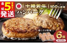 【最短5営業日以内に発送】十勝若牛100％使用！十勝 若牛 ハンバーグ 100g × 6個 国産 小分け 簡単調理 惣菜 おかず ハンバーグ お弁当 焼くだけ 牛肉 牛 肉 十勝若牛 冷凍_S003-0001