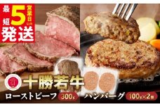 【最短5営業日以内に発送】牛肉サミット金賞受賞！十勝若牛のローストビーフ・ハンバーグセット 国産 小分け 簡単調理 惣菜 おかず ハンバーグ お弁当 焼くだけ 牛肉 牛 肉 ローストビーフ ブランド牛 冷凍_S003-0025