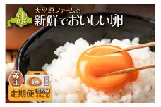 【12回定期便】大平原ファームの新鮮でおいしい卵 計40個(赤卵)×12ヶ月_S035-0018