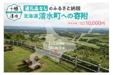 【返礼品なしの寄附】北海道清水町への寄附 応援 支援 寄付のみ 返礼品なし (1口：10,000円)_S038-0003