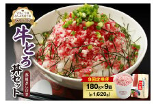 【9回定期便】人気の牛とろ丼セット 180g 専用タレ付き_S006-0121