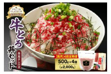【隔月4回定期便】人気の牛とろ丼セット 500g 専用タレ付き_S006-0167