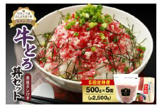 【5回定期便】人気の牛とろ丼セット 500g 専用タレ付き_S006-0168