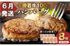 【6月発送】牛肉 100％使用！十勝若牛 ハンバーグ 100g × 8個  国産 小分け 簡単調理 惣菜 おかず ハンバーグ お弁当 焼くだけ 牛肉 牛 肉 十勝若牛 冷凍_S003-0024