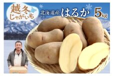 ホクホク あま～い！ 低温貯蔵！北海道産 越冬じゃがいも はるか 約5kg じゃがいも いも 芋 はるか 産地直送 越冬 5kg_S041-0009