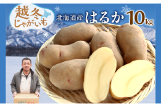 ホクホク あま～い！ 低温貯蔵！北海道産 越冬じゃがいも はるか 約10kg じゃがいも いも 芋 はるか 産地直送 越冬 10kg_S041-0010