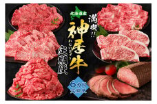 【6回定期便】佐藤さんちの神居牛”満喫セット” 特別な日の食卓に ステーキ ローストビーフ ！BBQにぴったり焼肉用 カルビも！_S013-0012
