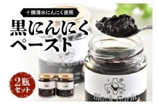 黒にんにくペースト 2瓶セット にんにく ニンニク 野菜 甘み フルーティー 無添加 ガーリック 薬味 自然発酵 熟成_S021-0014