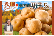 先行受付！ホクホク！しっとりなめらか！ 北海道産 男爵 いも じゃがいも 男爵いも 約5kg じゃがいも いも 芋 産地直送 秋_S041-0005