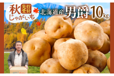 先行受付！ホクホク！しっとりなめらか！ 北海道産 男爵 いも じゃがいも 男爵いも 約10kg じゃがいも いも 芋 産地直送 秋_S041-0006