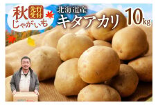 先行受付！ホクホク！しっとりなめらか！ 北海道産 キタアカリ いも じゃがいも きたあかり イモ 約10kg じゃがいも いも 芋 産地直送 秋_S041-0008