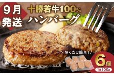 【9月発送】牛肉 100％使用！十勝 若牛 ハンバーグ 100g × 6個 国産 小分け 簡単調理 惣菜 おかず ハンバーグ お弁当 焼くだけ 牛肉 牛 肉 十勝若牛 冷凍_S003-0001