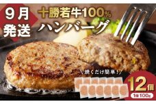 【9月発送】牛肉 100％使用！十勝若牛 ハンバーグ 100g × 12個 国産 小分け 大容量 簡単調理 惣菜 おかず ハンバーグ お弁当 焼くだけ 牛肉 牛 肉 十勝若牛 冷凍_S003-0027