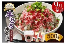 【9月発送】発送月が選べる！受賞歴多数！人気の牛とろ丼セット 500g 専用タレ付き_S006-0022