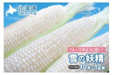 【2025年8月～発送開始！】北海道十勝清水町産 希少品種！ 白いとうもろこし 雪の妖精 サイズ混合 10～12本 北海道産 2025年 とうもろこし とうきび 産直 産地直送 清水町 北海道 _S021-0017