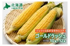 【2025年8月～発送開始！】北海道十勝清水町産 黄金の甘さ ゴールドラッシュ！サイズ混合 10～12本 北海道産 2025年 とうもろこし とうきび 産直 産地直送 清水町 北海道 _S021-0019