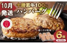 【10月発送】牛肉 100％使用！十勝 若牛 ハンバーグ 100g × 6個 国産 小分け 簡単調理 惣菜 おかず ハンバーグ お弁当 焼くだけ 牛肉 牛 肉 十勝若牛 冷凍_S003-0001