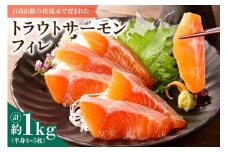 トラウトサーモンフィレ 1kg(半身3~5枚) フライやムニエル、お刺身や手巻き寿司まで！活用方法いろいろ！魚 魚介類 刺身 小分け 冷凍 鮭 さけ 海鮮 トラウト サーモン_S042-0002