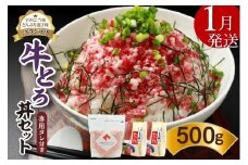【1月発送】発送月が選べる！受賞歴多数！人気の牛とろ丼セット 500g 専用タレ付き_S006-0022