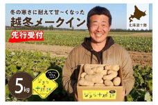 【先行予約】【2026年2月より順次発送】北海道十勝芽室町 なまら十勝野の越冬メークイン5kg me001-001c