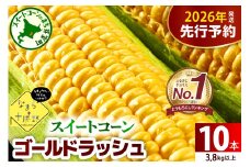 【先行受付】【2026年7月下旬～8月15日頃配送】北海道十勝芽室町 スイートコーンゴールドラッシュ 10本 me001-003c-26