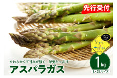 【先行受付】【2026年出荷分】北海道十勝芽室町 なまら十勝野のアスパラ1kg me001-007c-26