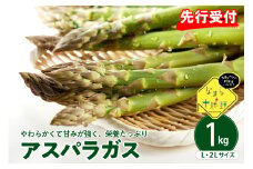 【先行受付】【2026年出荷分】北海道十勝芽室町 なまら十勝野のアスパラ1kg me001-007c-26