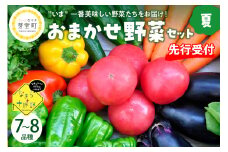 【2025年8月より発送】北海道十勝芽室町 なまら十勝野の季節のおまかせ野菜セット（夏） me001-009c