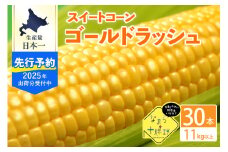 【7月下旬～８月下旬配送】北海道十勝芽室町 なまら十勝野のスイートコーン ゴールドラッシュ(30本) me001-011c-25