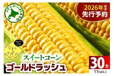 【先行受付】【2026年7月下旬～8月15日頃配送】北海道十勝芽室町 なまら十勝野のスイートコーン ゴールドラッシュ(30本) me001-011c-26