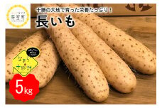 【12月中旬以降発送】北海道十勝芽室町 なまら十勝野の長いも ５kg me001-010c