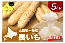 【12月中旬以降発送】北海道十勝芽室町 なまら十勝野の長いも ５kg me001-010c
