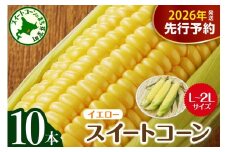 【先行受付】【2026年7月下旬～8月中旬頃配送】北海道十勝芽室町 とうもろこし スイートコーン10本 イエロー種 me002-004c-26