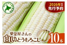 【先行受付】【2026年7月下旬～8月中旬頃配送】北海道十勝芽室町 とうもろこし 10本 ホワイト種 me002-005c-26