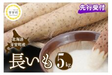 【先行受付】【2025年11月より配送予定】北海道十勝芽室町 長いも 約5kg me002-015c
