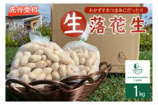 【先行受付】【2025年出荷分】北海道十勝芽室町 生落花生 茹で用 郷の香 1kg me028-003c-25