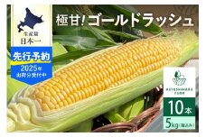 【8/5～8/15まで配送予定】北海道十勝芽室町 極甘とうもろこし ゴールドラッシュ 10本  me028-001c-25