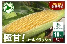 【先行受付】【2026年7月下旬～8月上旬まで配送予定】北海道十勝芽室町 極甘とうもろこし ゴールドラッシュ 10本  me028-001c-26