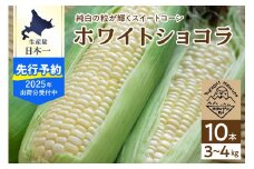 【2025年分先行予約】北海道十勝芽室町　廣田農園の白いスイートコーン10本 me031-001c-25